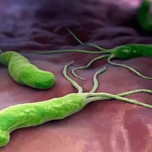 helicobacter-pylori.jpg