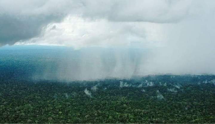 lluvia-AMAZONIA