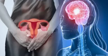 Neurocientíficas descubren como las hormonas modifican el cerebro durante la menstruación.