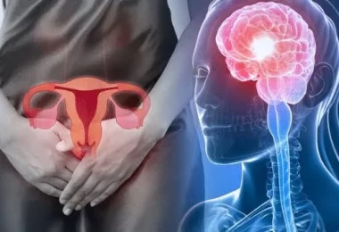 Neurocientíficas descubren como las hormonas modifican el cerebro durante la menstruación.